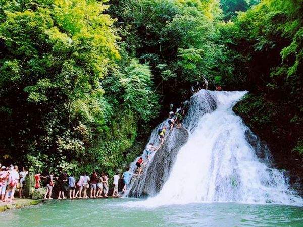深圳红顺叶一年一度的旅游